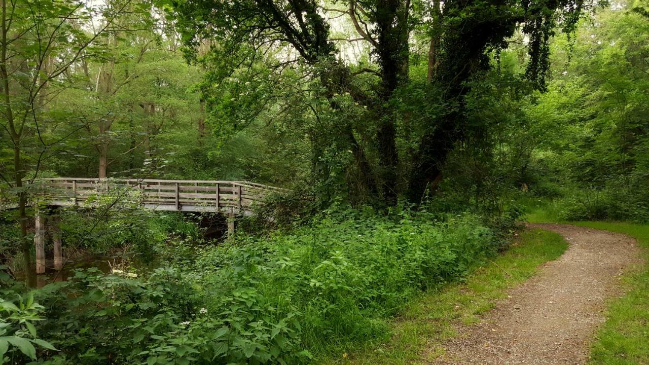 Grafschaft * Nordhorn
