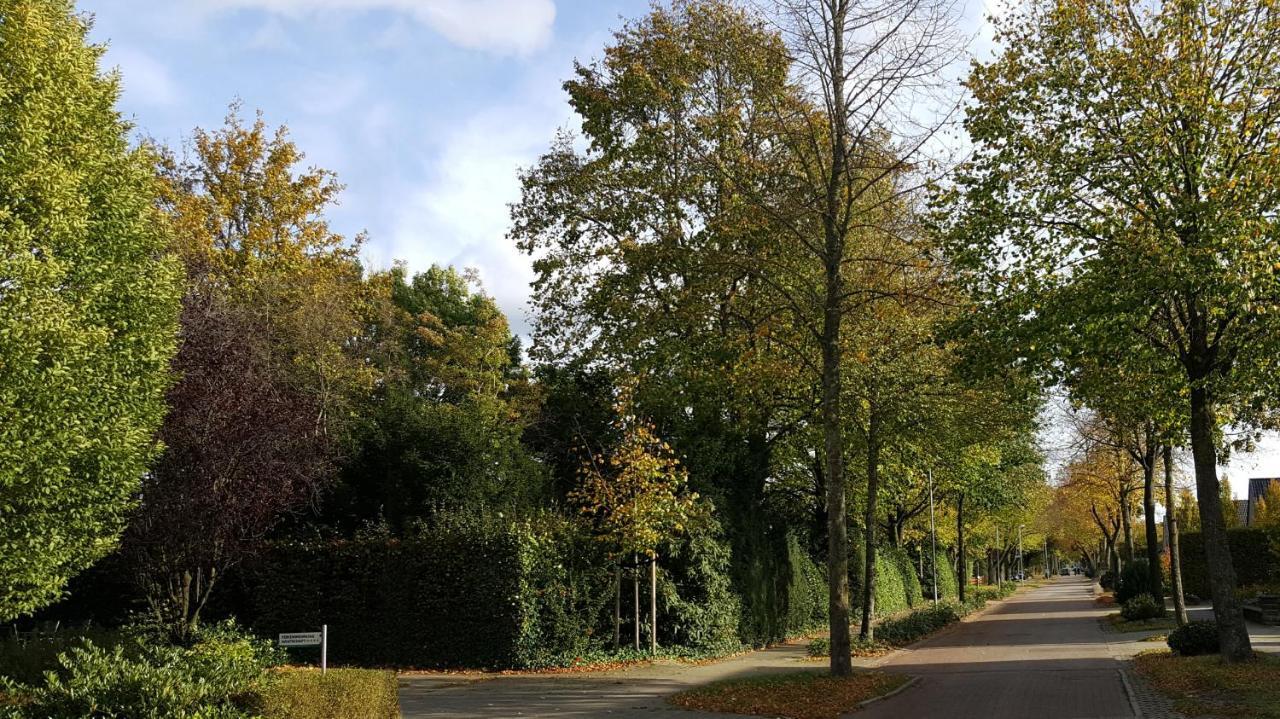 Grafschaft Appartement Nordhorn